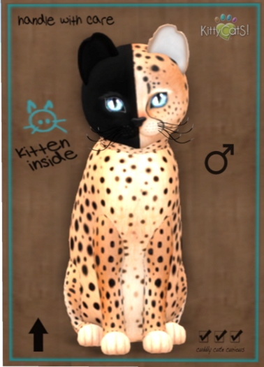 KittyCatS Box - Chimera - Spotted Flame