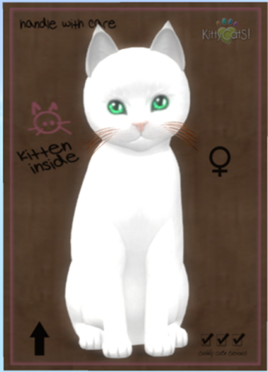 KittyCatS Box - Russian - White