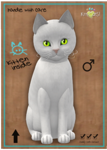KittyCatS Box - Russian - White