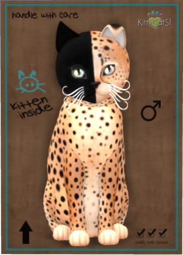 KittyCatS Box - Chimera - Spotted Flame