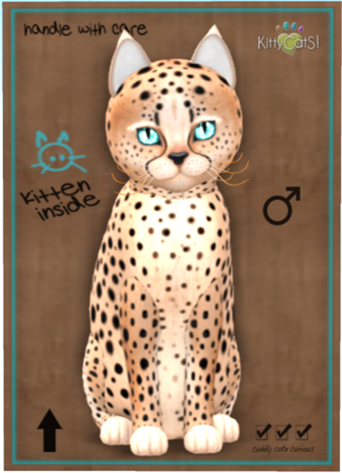 KittyCatS Box - Cheetah! - Au Natural