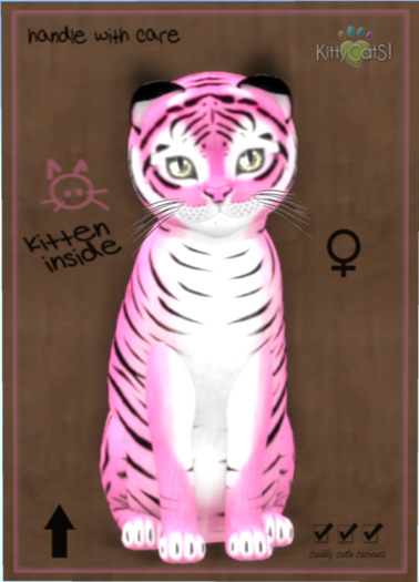 KittyCatS Box - Tiger! - Pinkie Winkie
