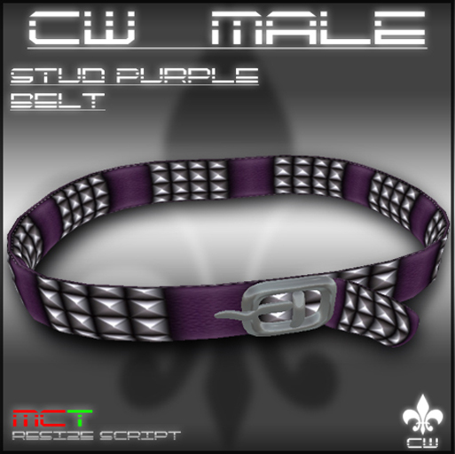 .:CW MALE:. Studded Purple Belt