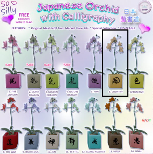 So Silly Japanese Orchid Calligraphy BOX - Country