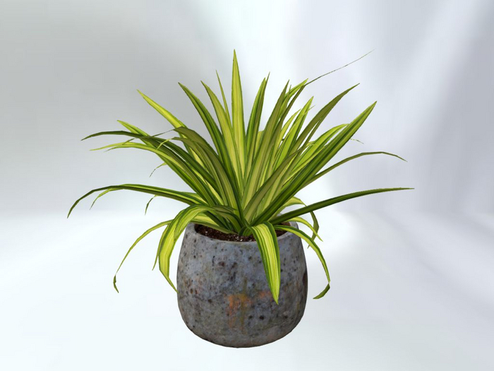 MyStory Plant A (v1.6)