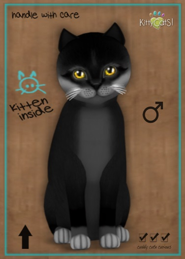 MEGAPUSS: KittyCatS Box - Foxie - Soft Black - MegaPuss