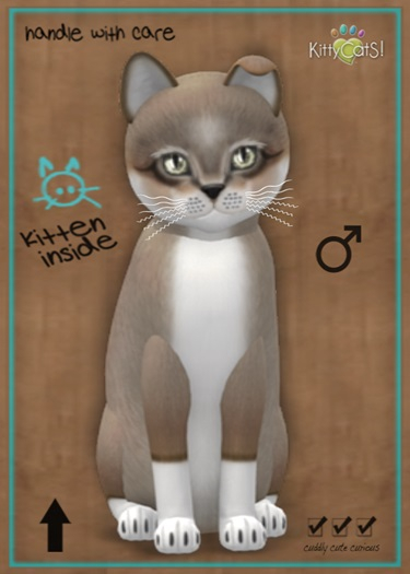 MEGAPUSS: KittyCatS Box - Foxie - Cocoa Cream - MegaPuss
