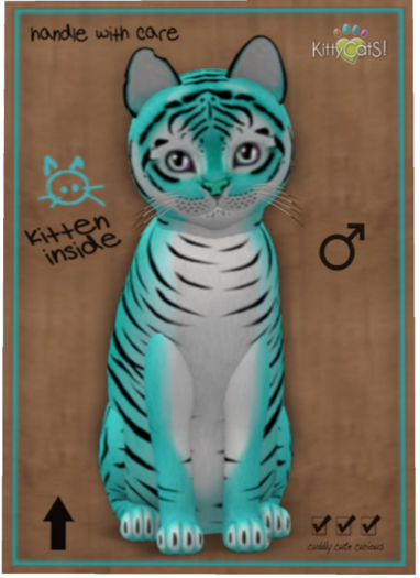 KittyCatS Box - Tiger! - Turquoise