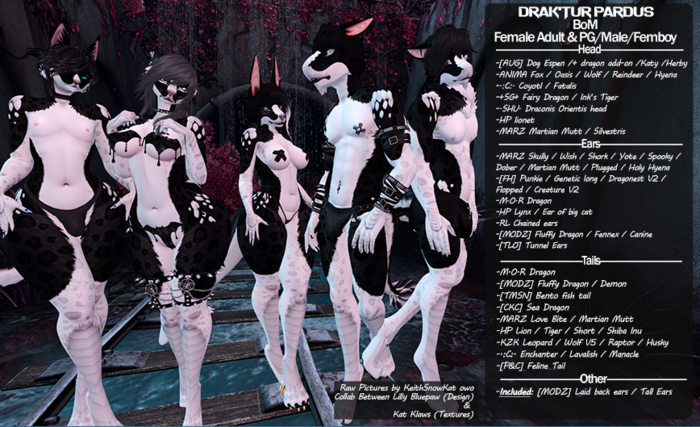 Kat Klaws -Pardus- Shadow