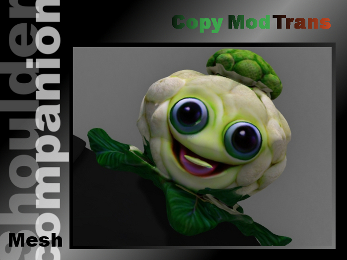 Smiling cauliflower (shoulder companion)