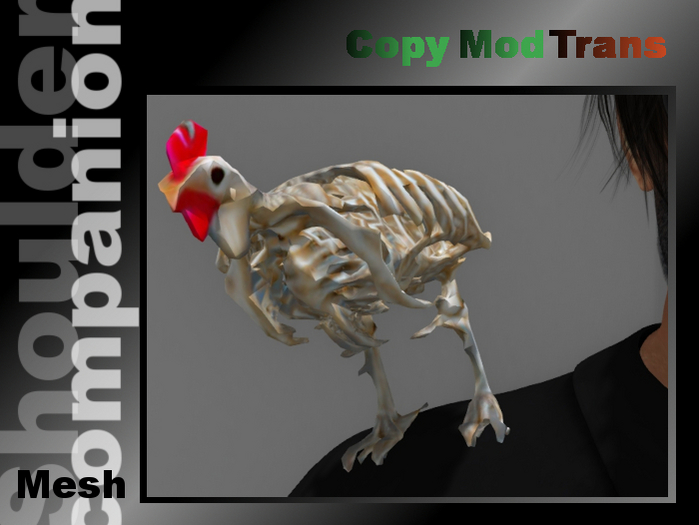 Skeleton chicken (shoulder companion)
