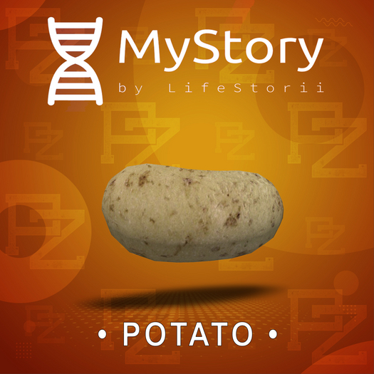 MyStory Potato x 25