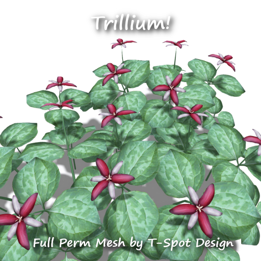 T-Spot Mesh - Trillium - Full Perm - LI=0.5-0.7