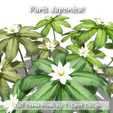 T-Spot Mesh - Paris japonica - Full Perm - LI=0.5
