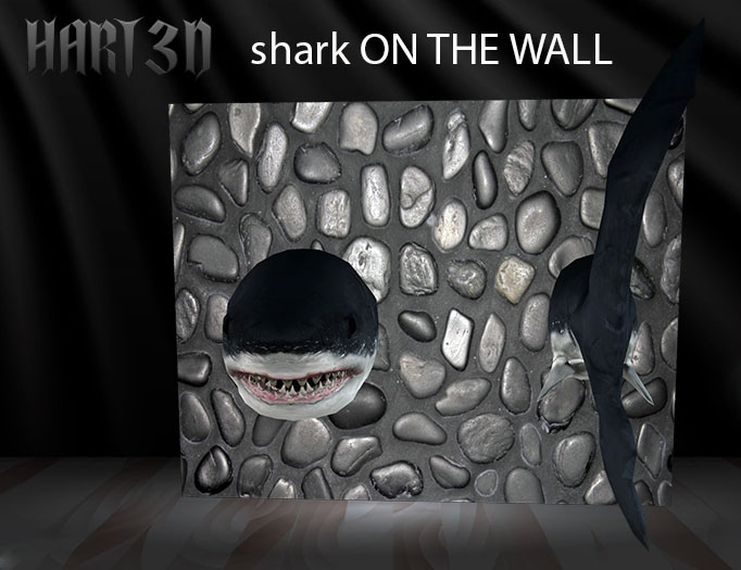shark ON THE WALL