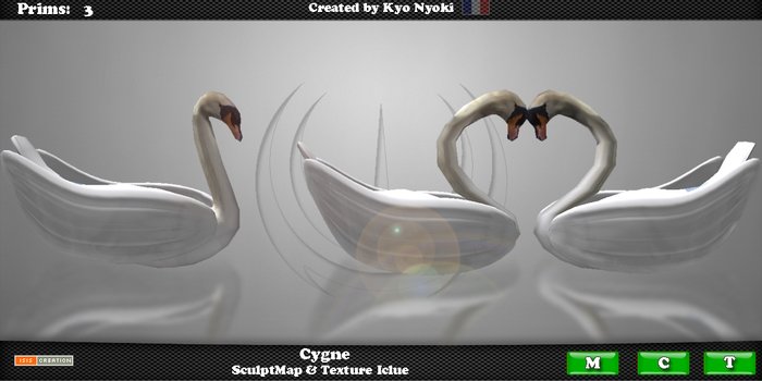 Cygne Full Perm