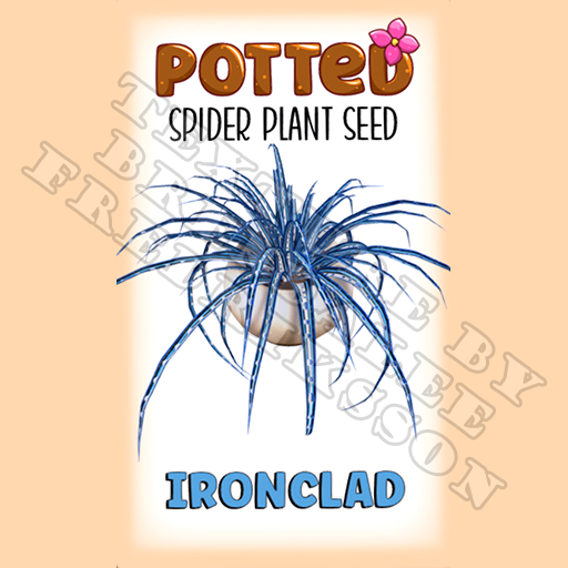 Potted: Spider Plant Seed: Ironclad (ACTUAL PLANT SEED) - Retired!