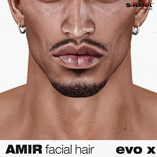 S-RANK "AMIR" FACIAL HAIR