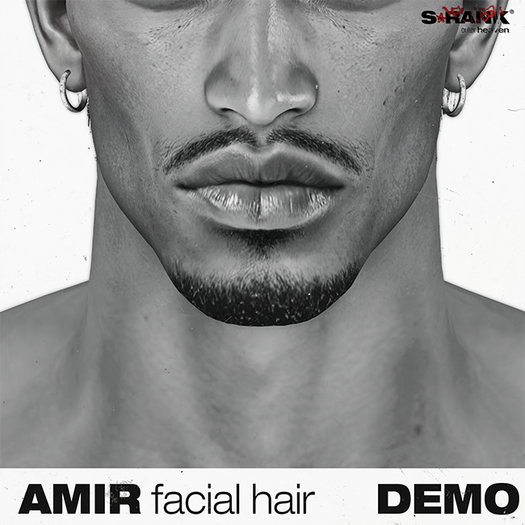 *DEMO* S-RANK "AMIR" FACIAL HAIR