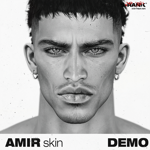 *DEMO* S-RANK "AMIR" SKIN