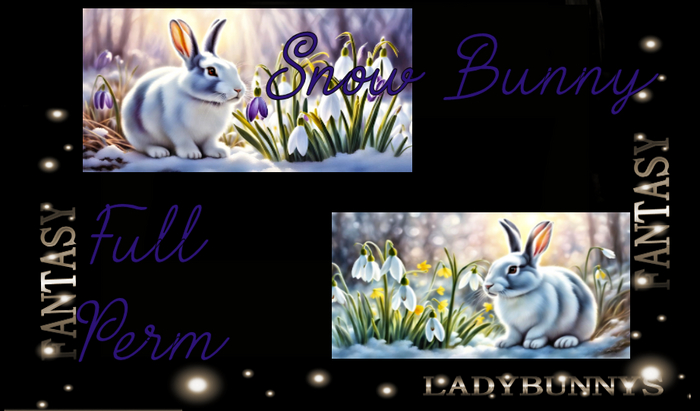 Full Perm Art -Snow Bunny-Easter card or Art Textures (Easter Cards,Easter Art or Easter Backdrops)