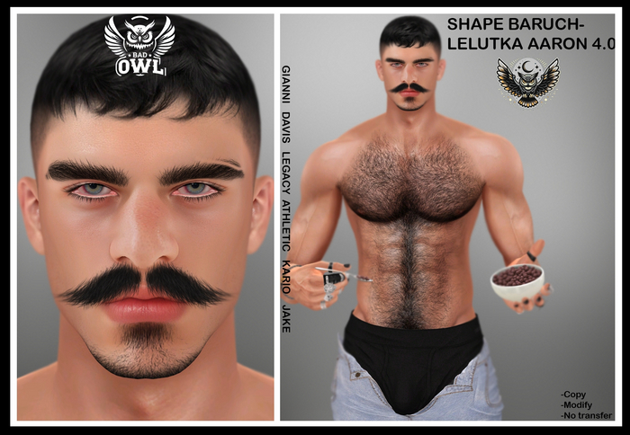 SHAPE BARUCH-LELUTKA AARON 4.0