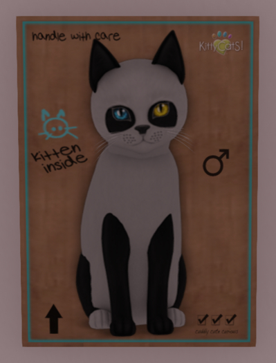 KittyCatS Box - Pandie - Ebony & Ivory