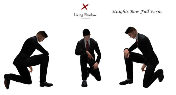 .:Living Shadow:. Knights Bow Animation FP