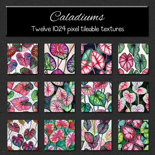 *Wallflowers* Caladiums