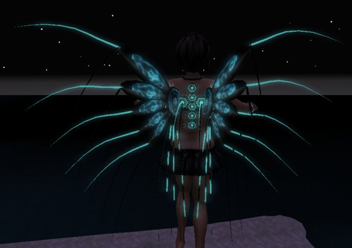 .:R.:.C:. Cyber Originale Wings