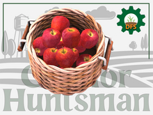 DFS Apple Basket