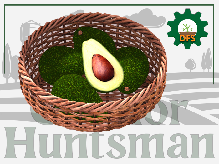 DFS Avocado Basket