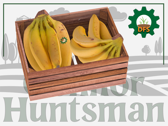 DFS Banana Basket