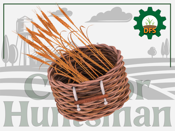 DFS Barley Basket