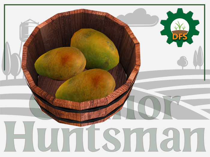 DFS Papaya Basket