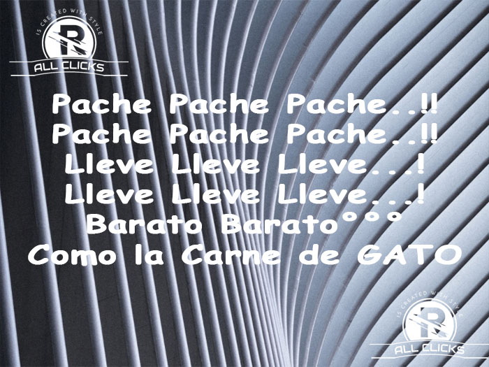 Pache Pache Barato - Rots -