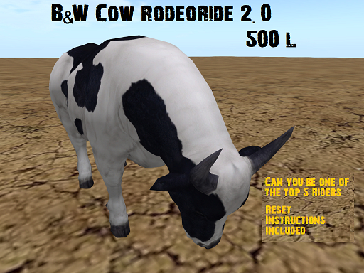 B&W Cow Rodeo Ride 2.0 Boxed