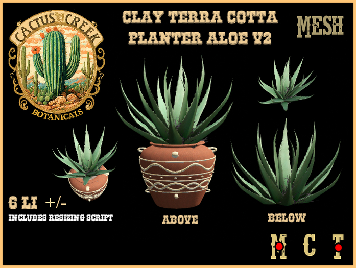 Clay Terra Cotta Planter Aloe v2