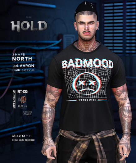HOLD SHAPES - North - Shape LeLUTKA Aaron 4.0 EVOX/LEG/JAK/KAR