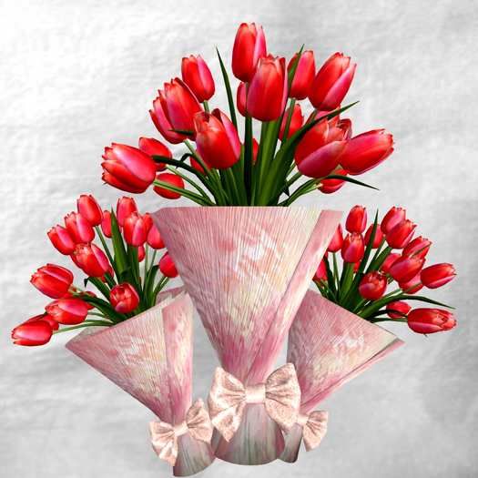 Tulips Bouquet - Red - with hold pose