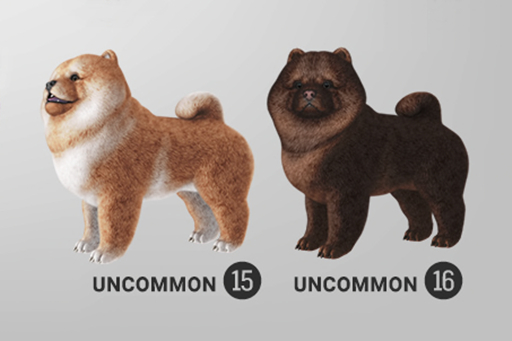 SEmotion Libellune Chow Chow Companion UNCOMMON 16
