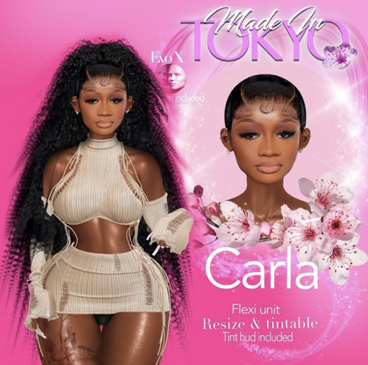 MnT:// Carla Unit