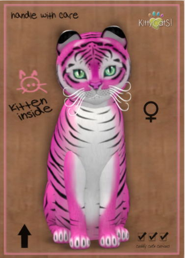 KittyCatS Box - New Born Kitten