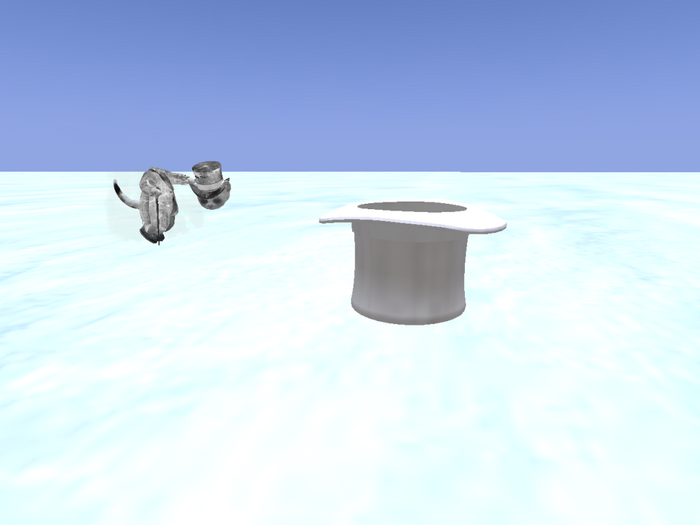 Mikeal's Rideable Top Hat