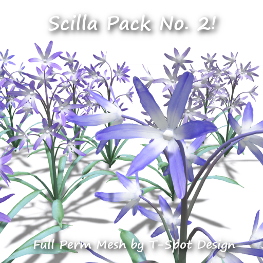 T-Spot Mesh - Scilla Pack No. 2 - FP - LI=0.5-1.3