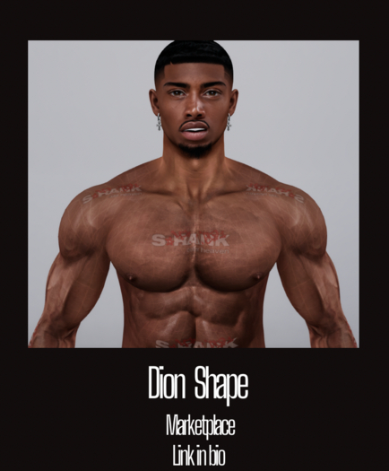 Dion Shape| Yves 3.1