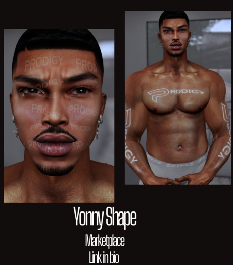 Yaniel Shape | Luka 3.1