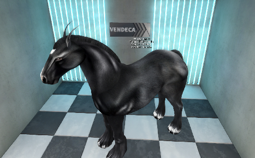 ABC Pet Horse TW Rochella