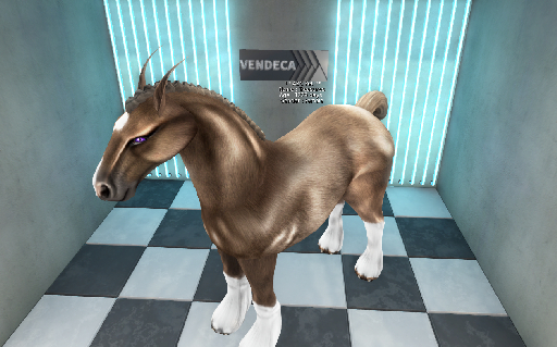 ABC Pet Horse Treasures