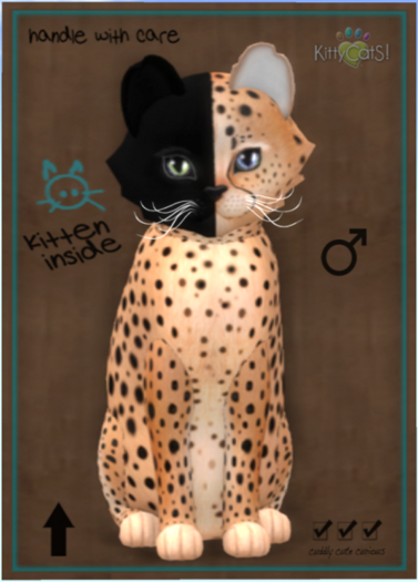 KittyCatS Box - Chimera - Spotted Flame